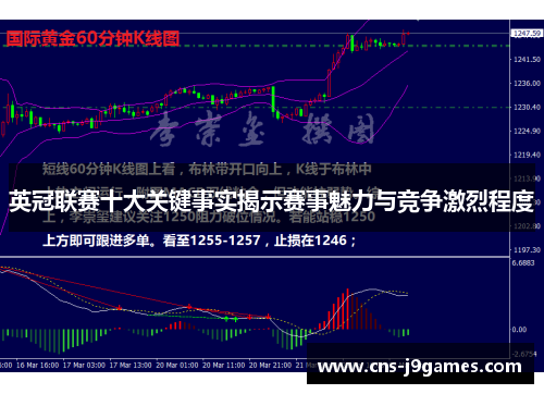 英冠联赛十大关键事实揭示赛事魅力与竞争激烈程度