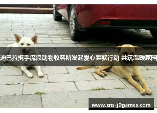 迪巴拉携手流浪动物收容所发起爱心筹款行动 共筑温暖家园 迪巴拉携手流浪动物收容所发起爱心筹款行动 共筑温暖家园