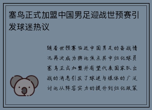 塞鸟正式加盟中国男足迎战世预赛引发球迷热议